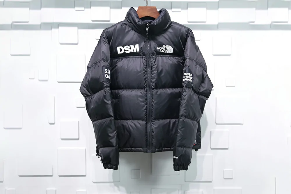 tnf dsm down coat(asia size)