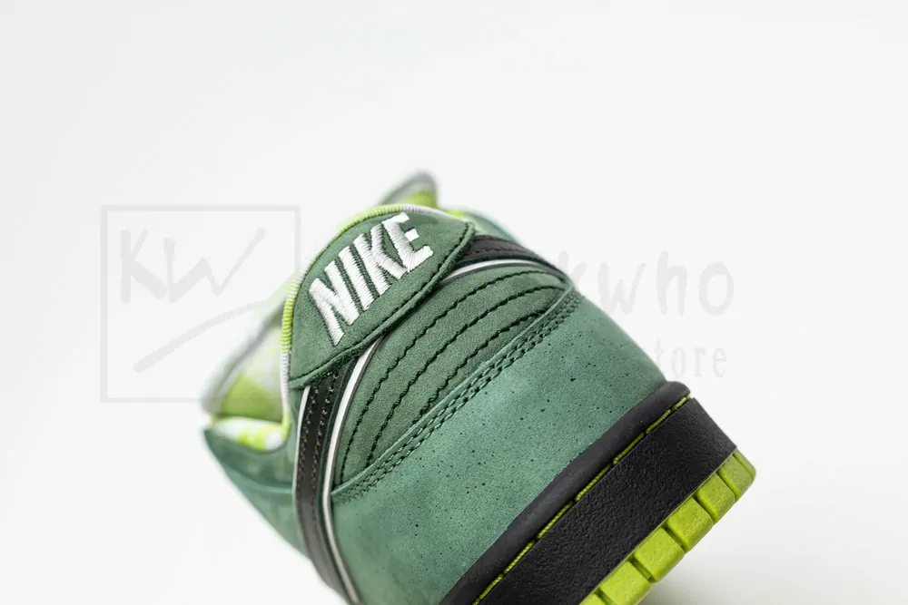 concepts x dunk low sb 