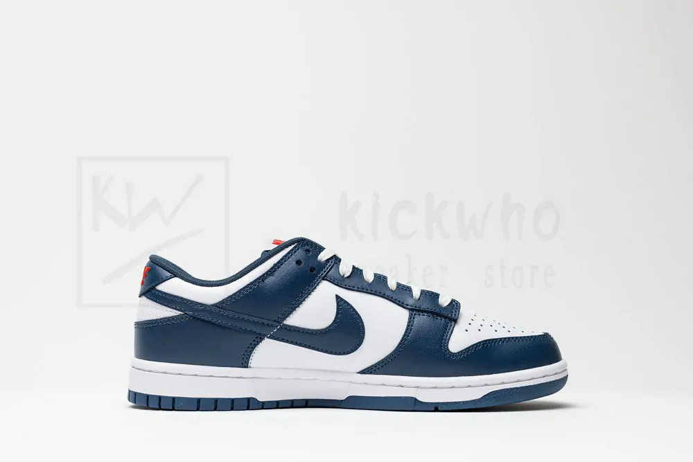 dunk low 