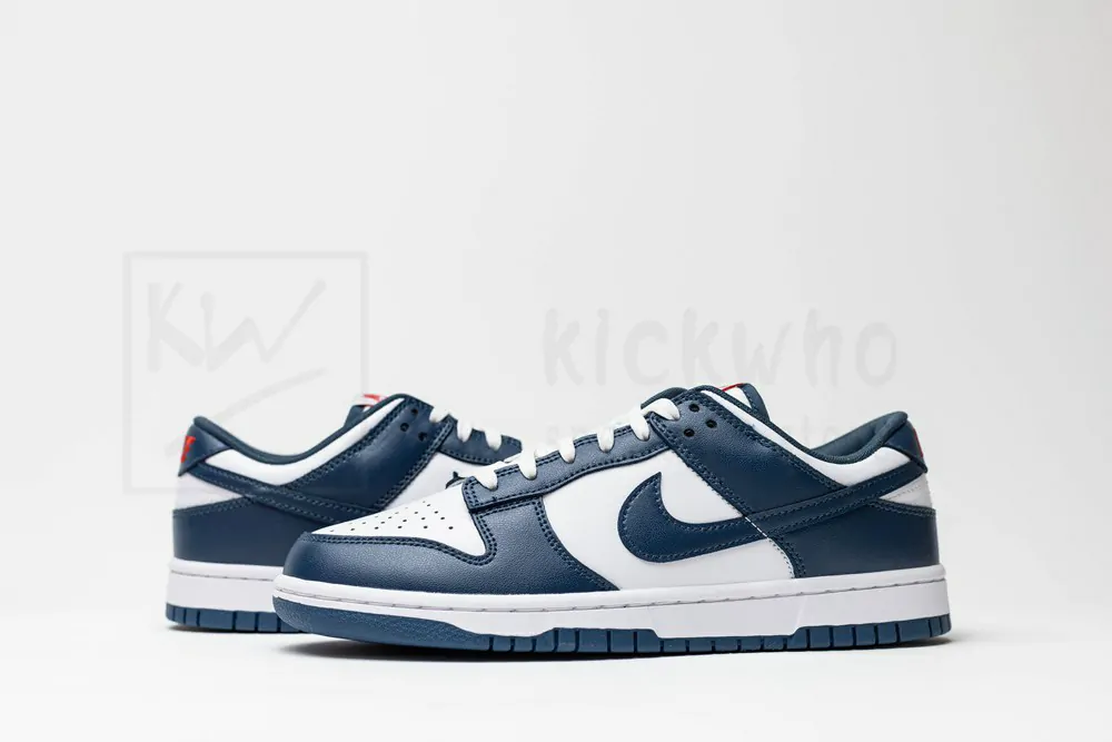 dunk low 