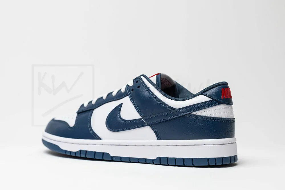 dunk low 