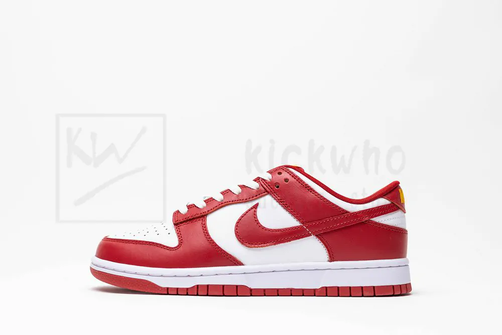 nike dunk low usc