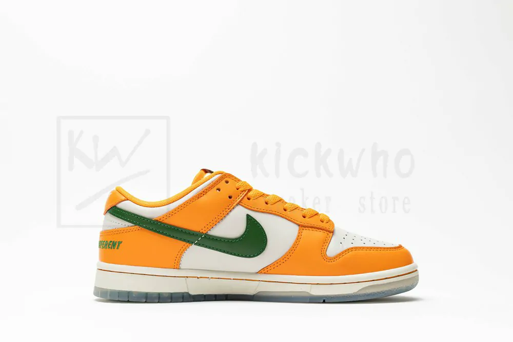 florida a&m university x dunk low 