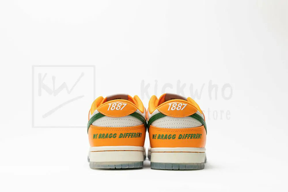 florida a&m university x dunk low 