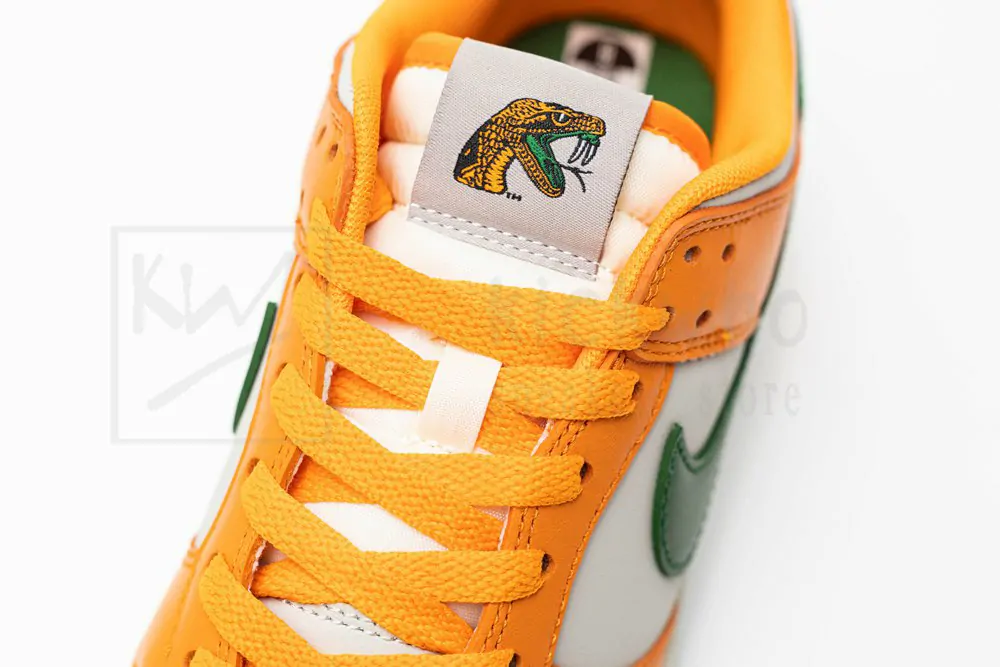 florida a&m university x dunk low 