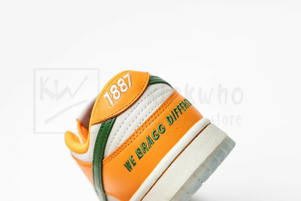 florida a&m university x dunk low 