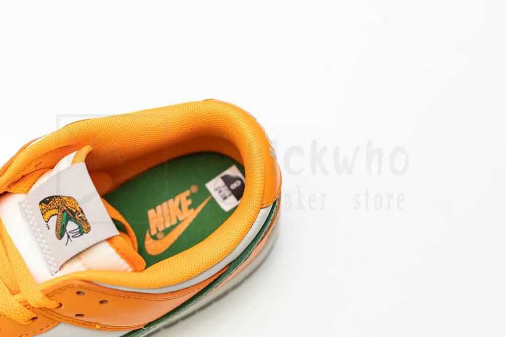 florida a&m university x dunk low 