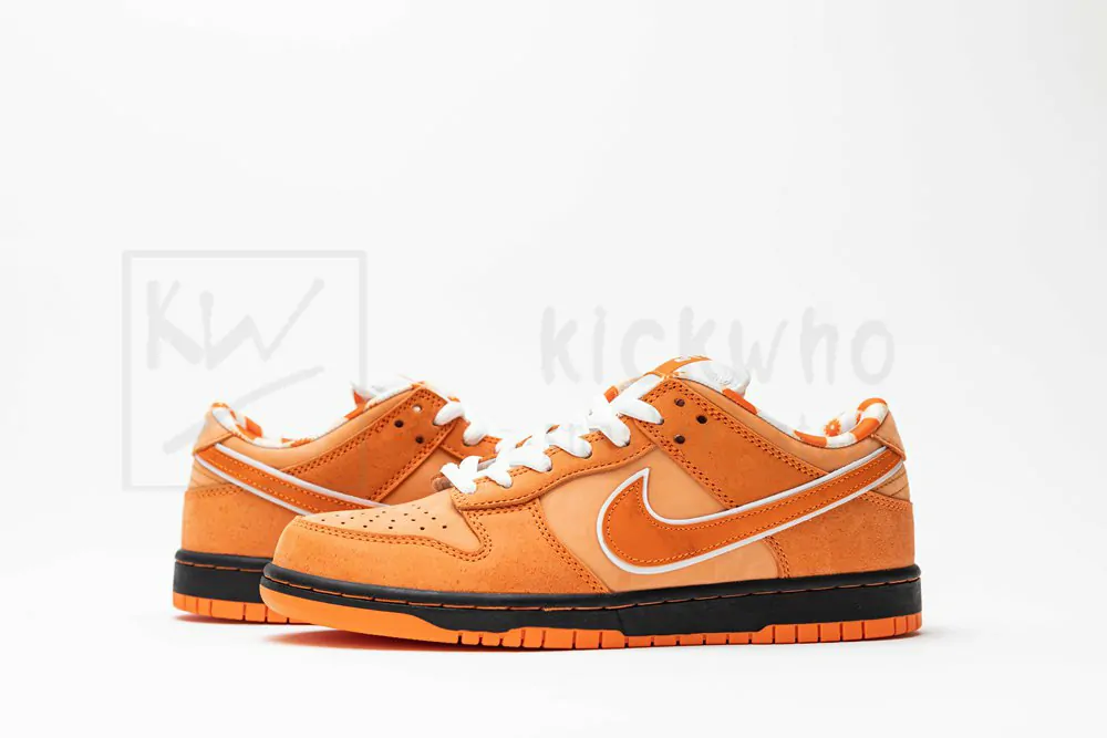 concepts x dunk low sb 