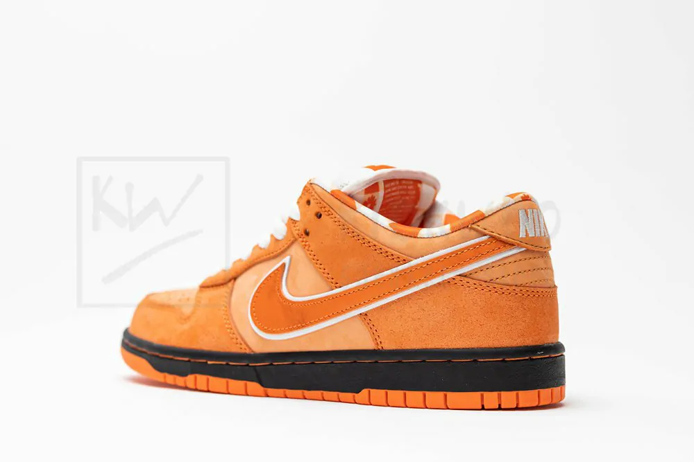 concepts x dunk low sb 