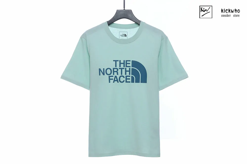 the north face bassic t-shirt blue