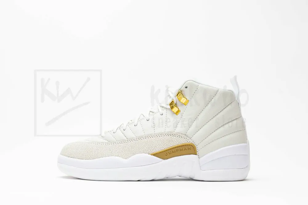 ovo x air jordan 12 