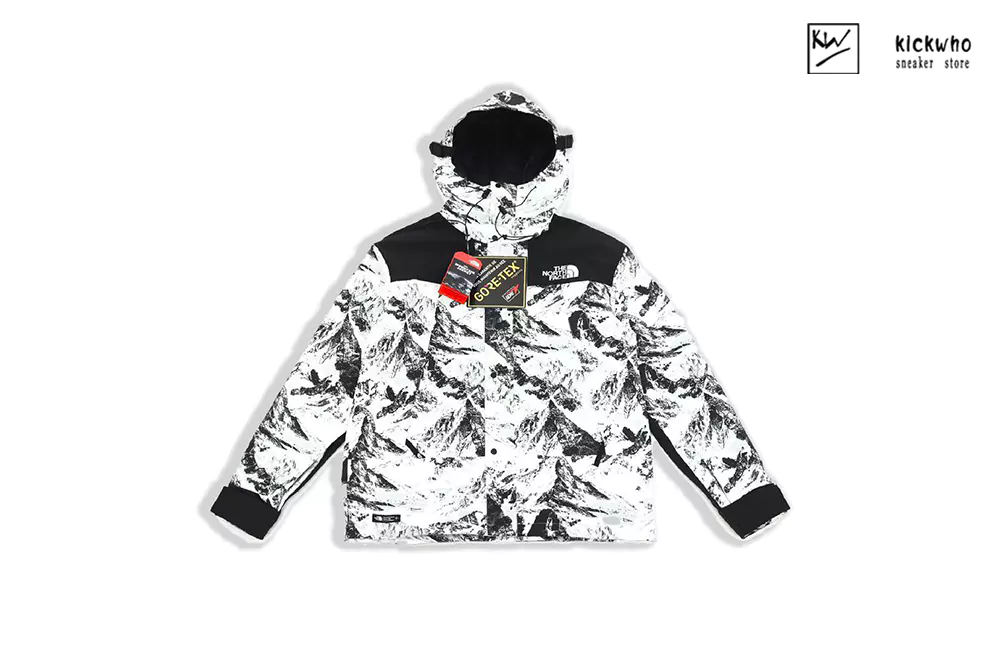 tnf snow mountain stormsuit