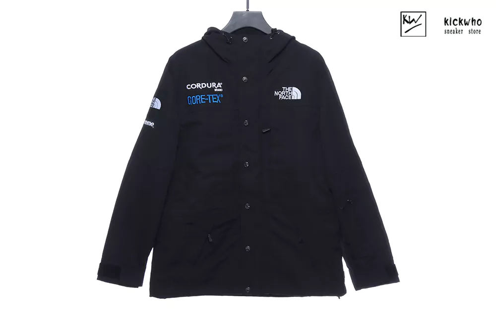 tnf x sup outdoor multicolor coat