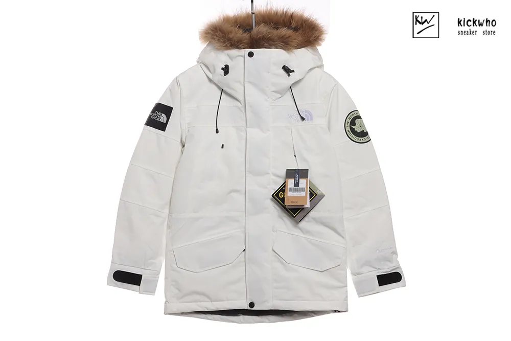 tnf gore-tex limited polar coat white