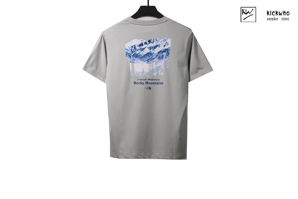 tnf snow mountain t-shirt grayish brown