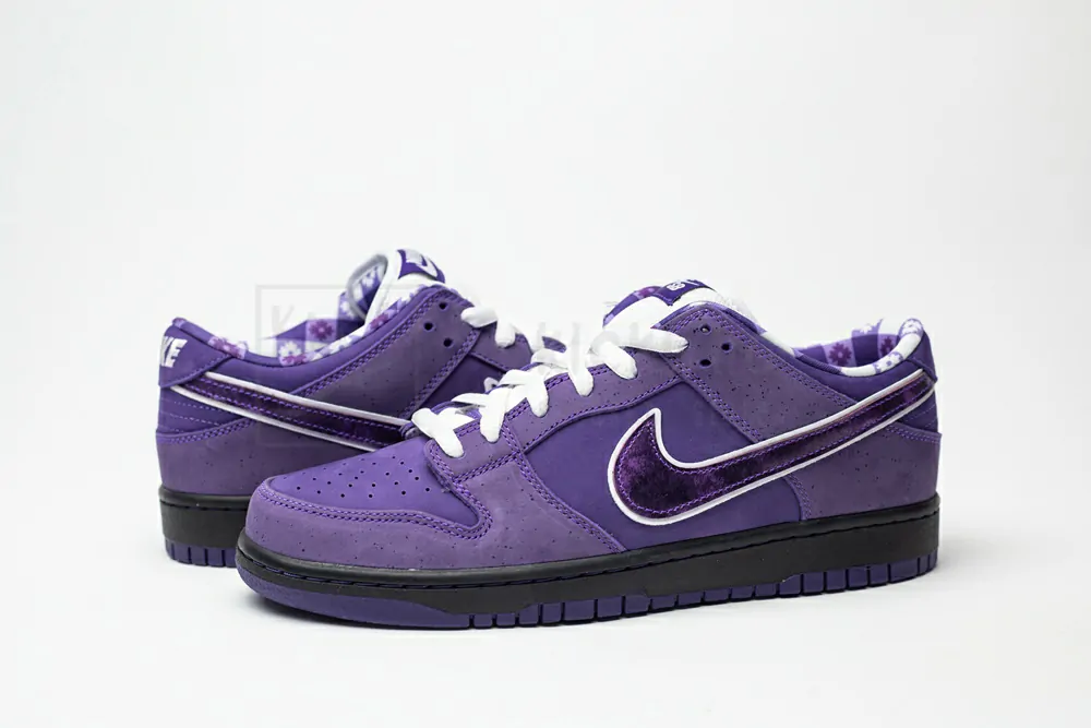 concepts x nike sb dunk low 